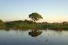 Okavango Delta :: Okavangodelta