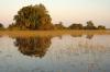 Okavango Delta :: Okavangodelta