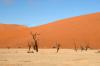 Red dunes :: Sanddnen von Sossusvlei