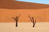 Red dunes :: Sanddnen von Sossusvlei
