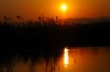 Sunset :: Sonnenuntergang  Lower Zambezi