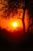 Sunset :: Sonnenuntergang  South Luangwa National Park